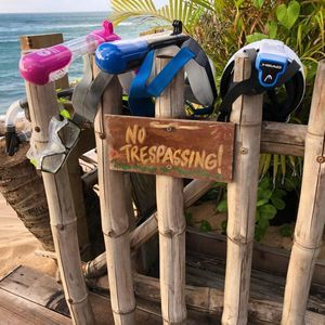 Meet your Posher, Terri